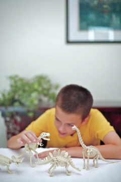 Imagem do Kit De Escavação de Esqueleto Dinossauro - Tiranossauro Rex