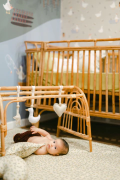 Berço evolutivo em fibra natural na internet