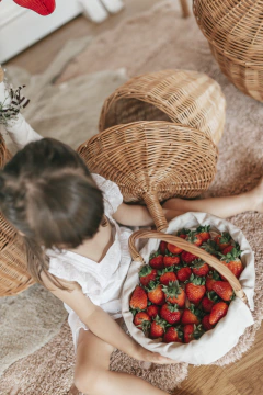 Cesta de piquenique infantil - loja online