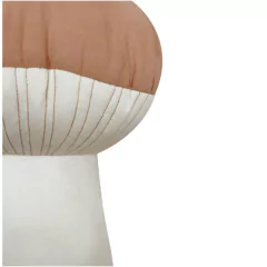 Almofada Boletus Ø 25 x 30 cm - Lorena Canals na internet