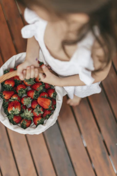 Cesta de piquenique infantil - comprar online