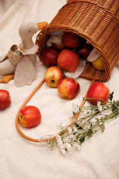 Carrinho de feira infantil em fibra natural - comprar online