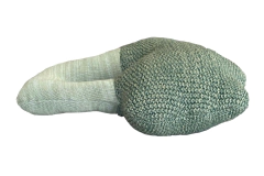 Almofada Bruce, O Brócolis - Lorena Canals - comprar online