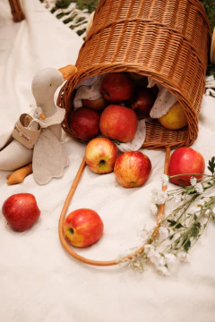 Carrinho de feira infantil em fibra natural na internet