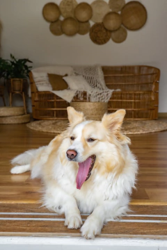 Sofá Cairu em fibra natural - 3 tamanhos - CASA CAHAYA - Produção de móveis artesanais e sustentáveis em fibra natural