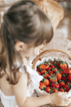 Imagem do Cesta de piquenique infantil