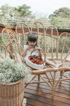 Cesta de piquenique infantil