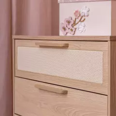 Cômoda 4 gavetas com tela de Rattan linha Paglia Pro - loja online