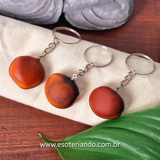 Chaveiro Semente Olho de Boi Mucunã - Proteção Forte - comprar online