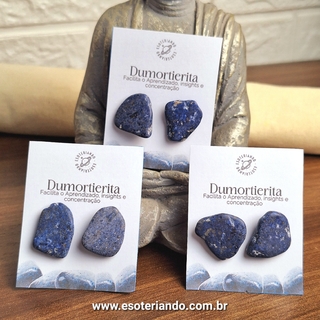 Brincos de Dumortierita- A pedra do Estudante