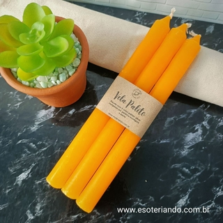 Kit velas palito laranja- fundo marmore, vaso planta suculenta