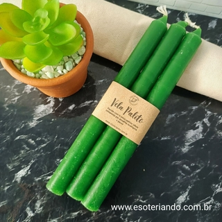 Kit velas palito verde- fundo marmore, vaso planta suculenta