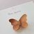 Papillon | Mini - Mini Laçaria