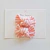 Parzinho C. | Listrado Rosa e Branco - comprar online