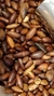 Castanha_De_Baru_grano_in_grano.jpg