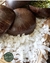 Coco_Ralado_Fino_grano_in_grano.jpg