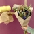 Ramos de Flores Secas - comprar online