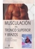 MUSCULACIÓN DEL TRONCO SUPERIOR Y BRAZOS