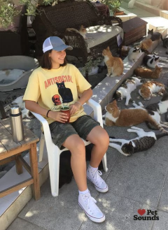 Cats / Antisocial en internet
