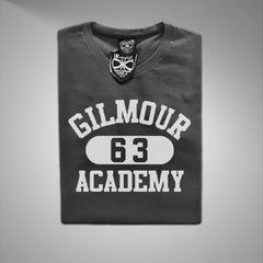 Imagen de Pink Floyd / Gilmour Academy