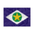 Bandeira Oficial MT
