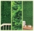 Painel Verde Samambaia 50 x 50 cm - comprar online