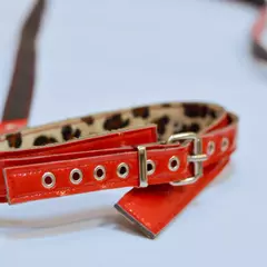 Collar Correa vinilo (rojo) - comprar online