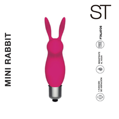 MINI RABBIT