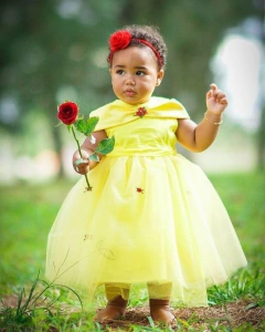 Vestido Bela e a Fera