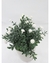 MACETA MAGNOLIA BLANCA - comprar online