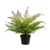PLANTA HELECHO VERDE Y ROJO CON MACETA