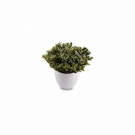 Maceta Boxwood - comprar online