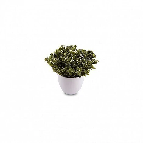 Maceta Boxwood - comprar online