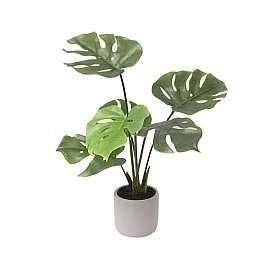 Maceta Adan con base de cemento - comprar online