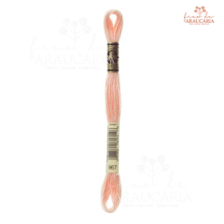 Mouliné Spécial - numeração 900 à 3078 (967)