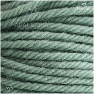 Lã Paratapet (0605)