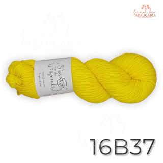 Lã Merino 19my Rincón (16B37)