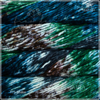 Malabrigo Rasta (171 Snake)