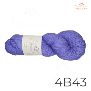 Lã Merino Fingering (4B43)