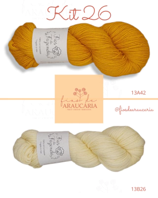 Kit Meia Renata (Kit 26)