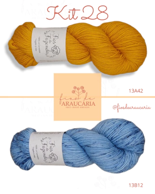 Kit Meia Renata (Kit 28)