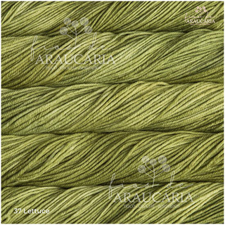 Malabrigo Rios (37 Lettuce)