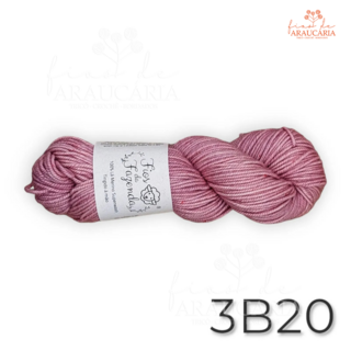 Lã Merino Worsted SW (3B20)