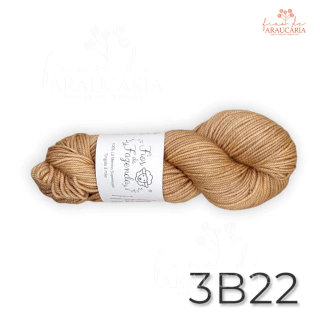 Lã Merino Worsted SW (3B22)