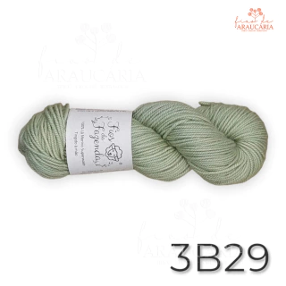 Lã Merino Worsted SW (3B29)