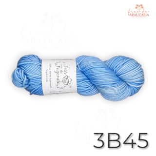 Lã Merino Worsted SW (3B45)
