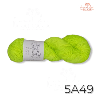 Kit Gorro Araucária (5A49)