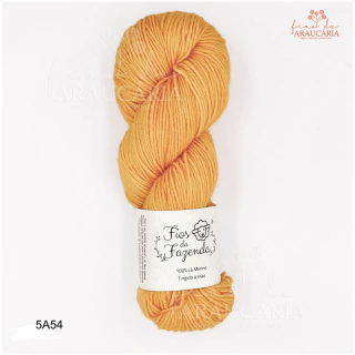 Kit Gorro Araucária (5A54)