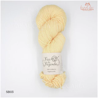 Kit Gorro Araucária (5B03)