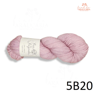 Kit Xale Amabile (5B20)